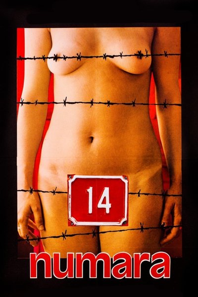 Póster de Number 14