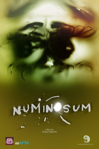 Póster de Numinosum