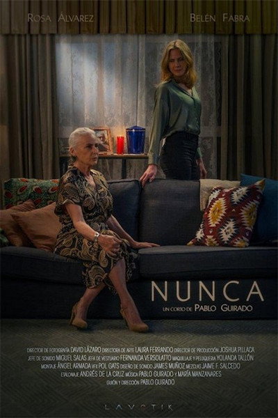 Póster de Nunca