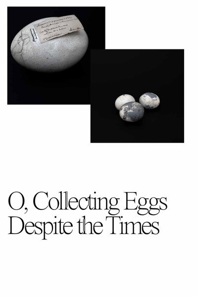 Póster de O, Collecting Eggs Despite the Times.