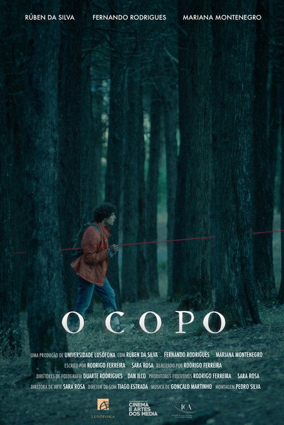 Póster de O Copo