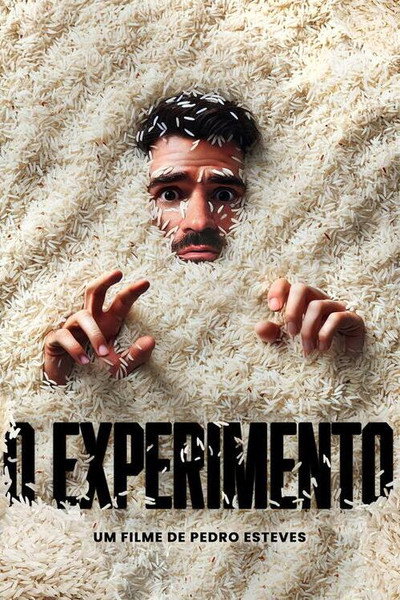 Póster de O Experimento