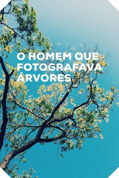 Póster de O Homem que Fotografava Árvores