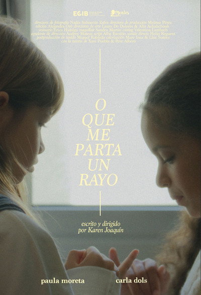 Póster de O que me parta un rayo