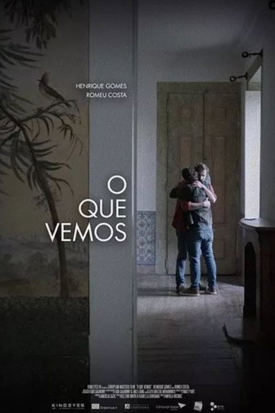 Póster de O Que Vemos