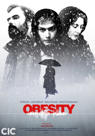 Póster de Obesity