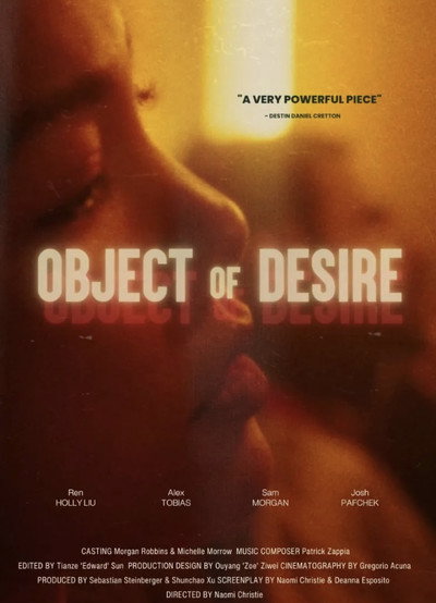 Póster de Object of Desire