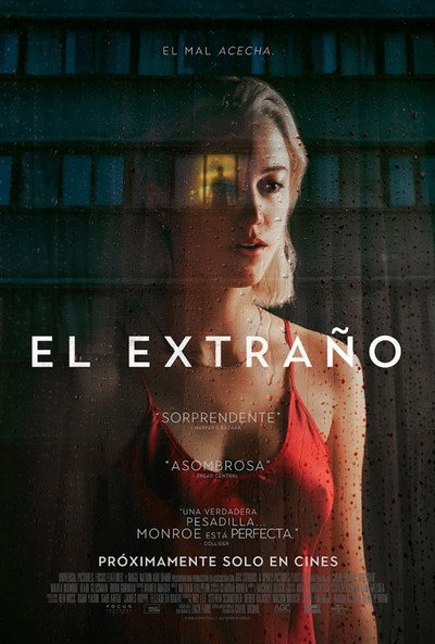 Póster de Observada