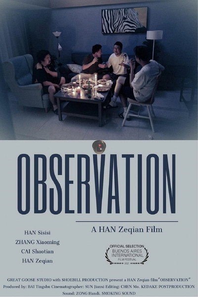 Póster de Observation