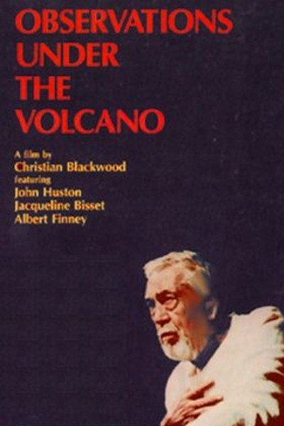 Póster de Observations Under the Volcano