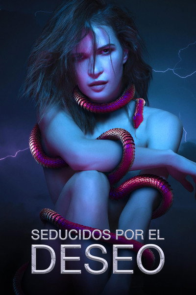 Póster de Obsessed