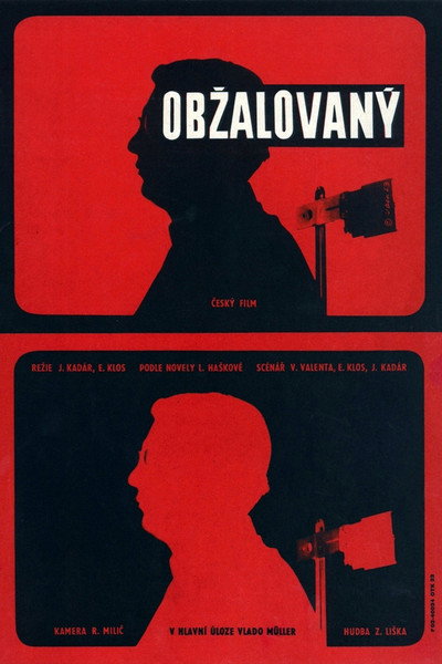 Póster de Obzalovaný