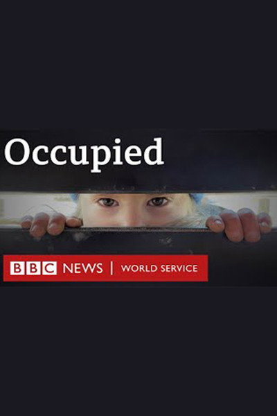 Póster de Occupied