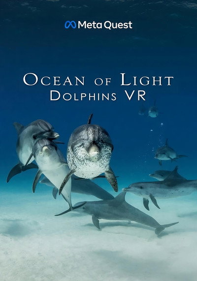 Póster de Ocean of Light - Dolphins VR