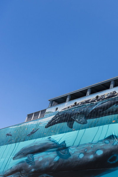 Póster de Ocean Stories: Wyland