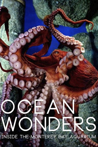 Póster de Ocean Wonders: Inside the Monterey Bay Aquarium
