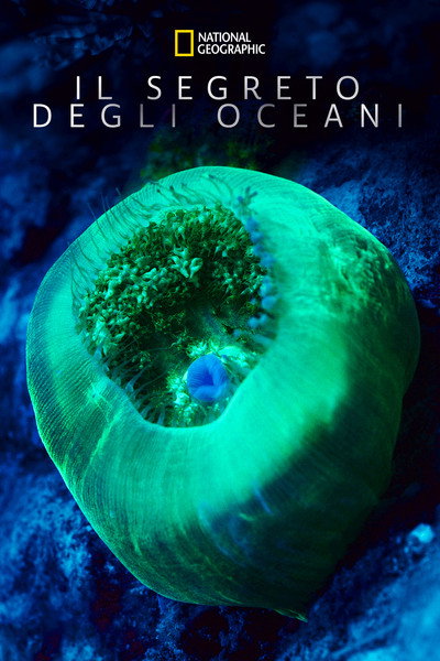 Póster de Ocean's Breath