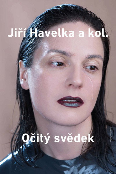 Póster de Ocitý svedek