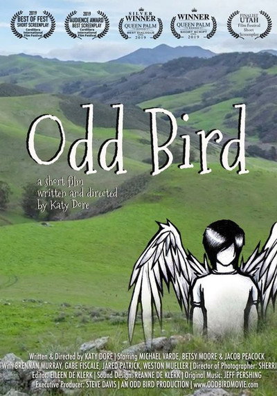 Póster de Odd Bird