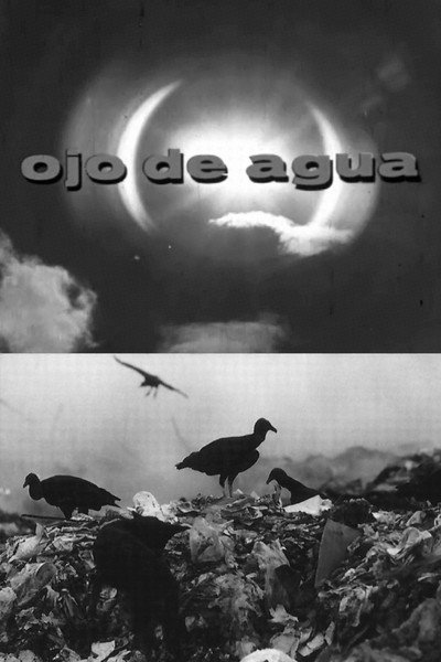Póster de Ojo de Agua