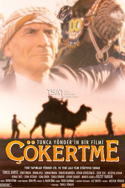 Póster de Çökertme