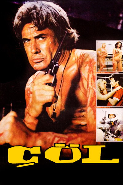 Póster de Çöl