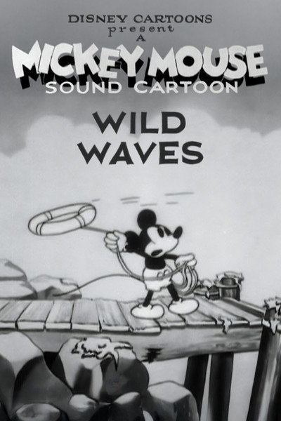Póster de Olas salvajes