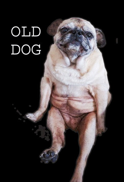 Póster de Old Dog