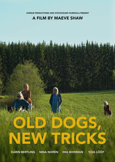 Póster de Old Dogs, New Tricks