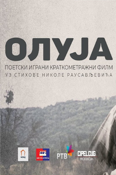 Póster de Oluja