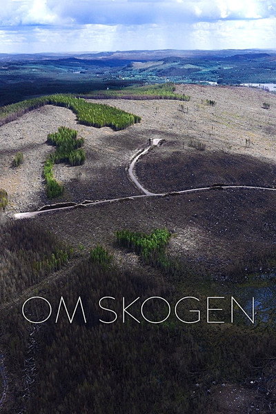 Póster de Om skogen