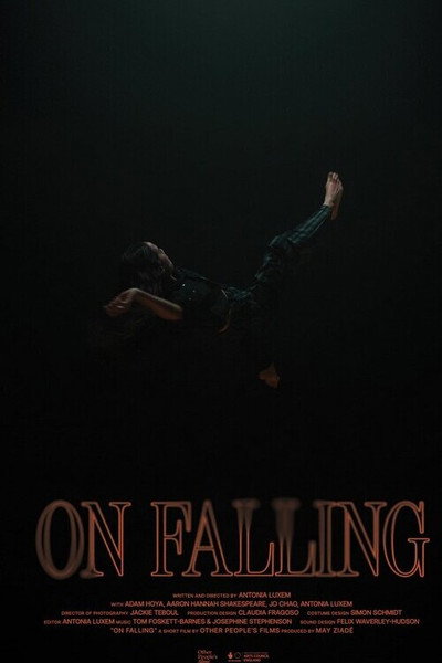 Póster de On Falling