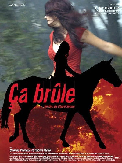 Póster de On Fire
