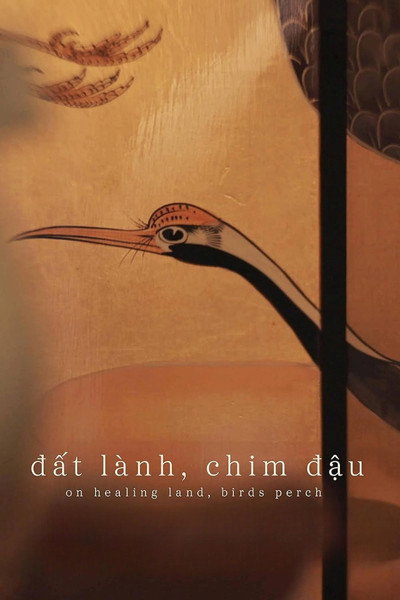 Póster de On Healing Land, Birds Perch