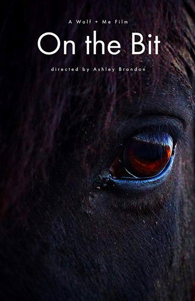 Póster de On the Bit