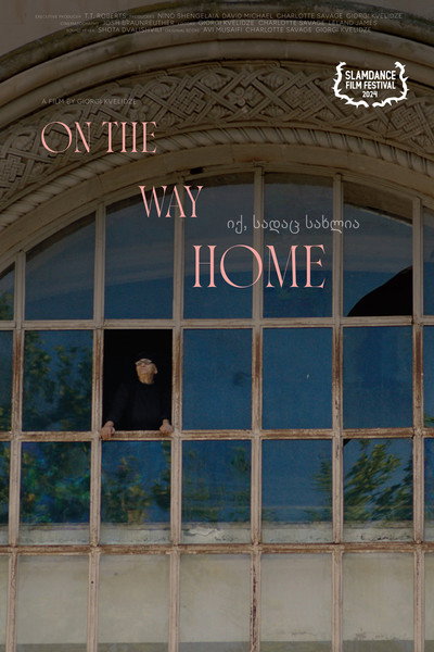 Póster de On the Way Home