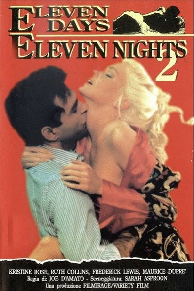 Póster de Once días, once noches 2