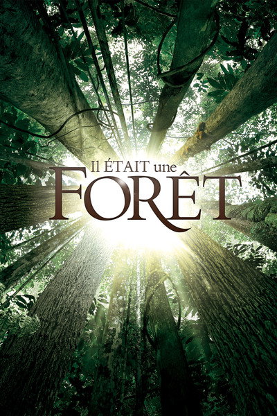 Póster de Once Upon a Forest