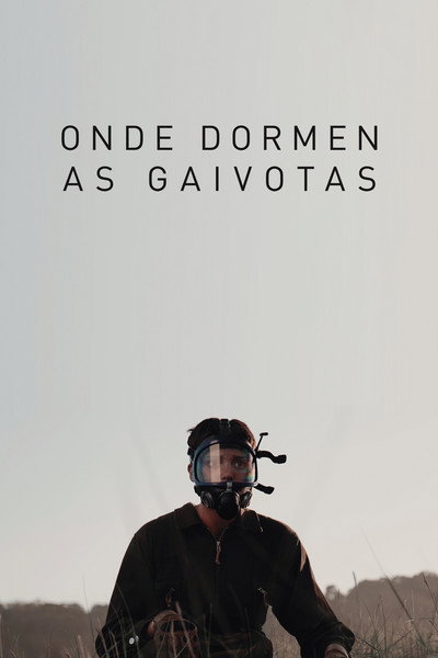 Póster de Onde dormen as gaivotas