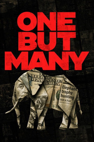 Póster de One But Many