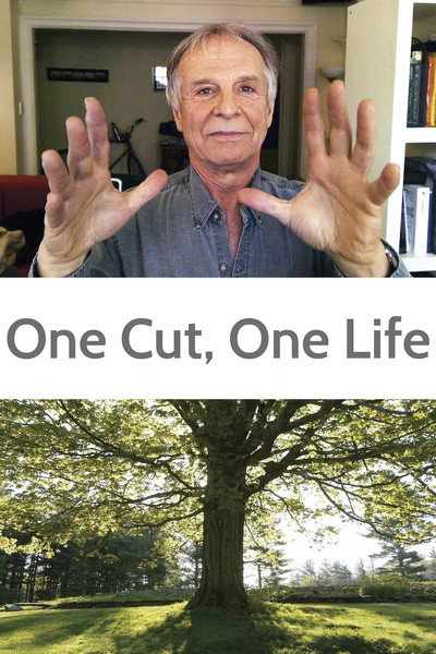 Póster de One Cut, One Life