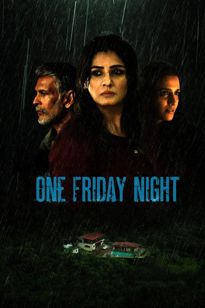 Póster de One Friday Night