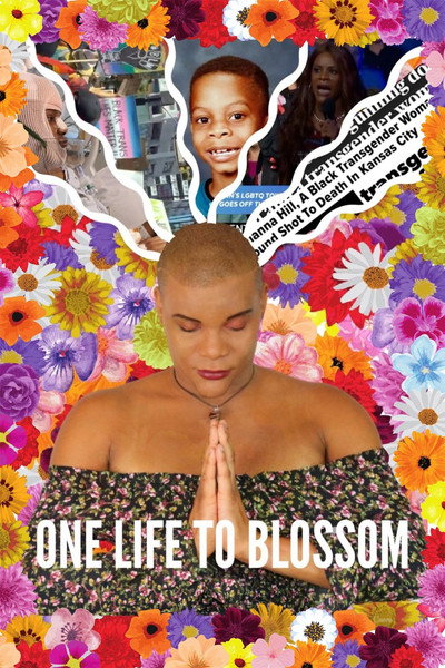 Póster de One Life to Blossom