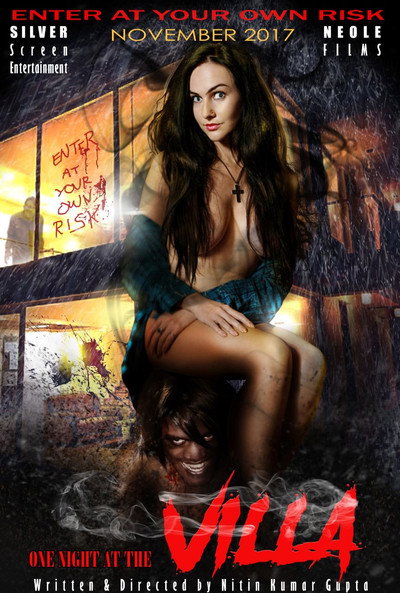 Póster de One Night at Villa