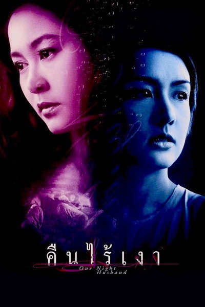 Póster de One Night Husband