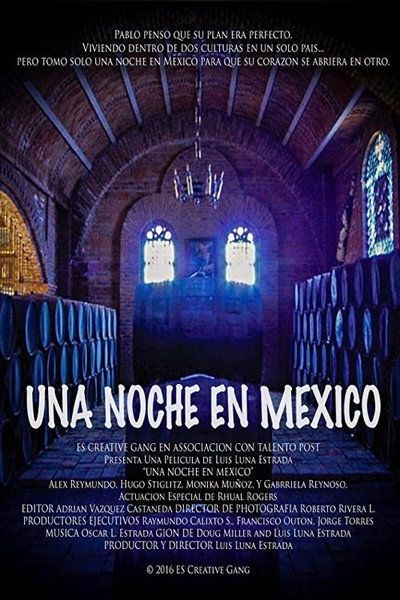 Póster de One Night in Mexico