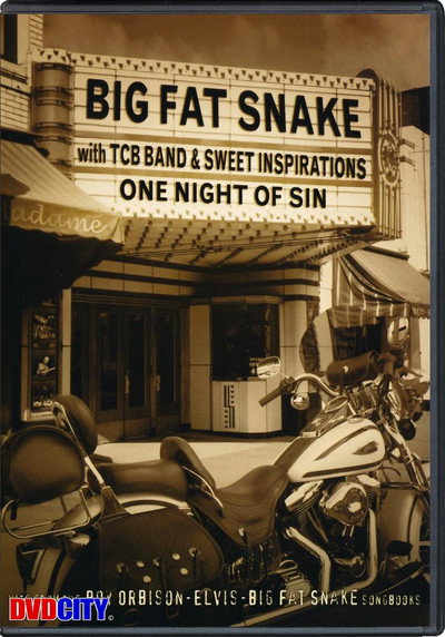 Póster de One Night of Sin