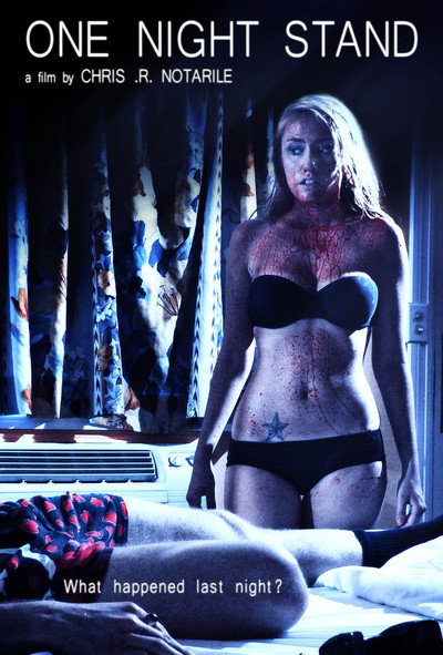 Póster de One Night Stand