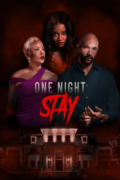 Póster de One Night Stay