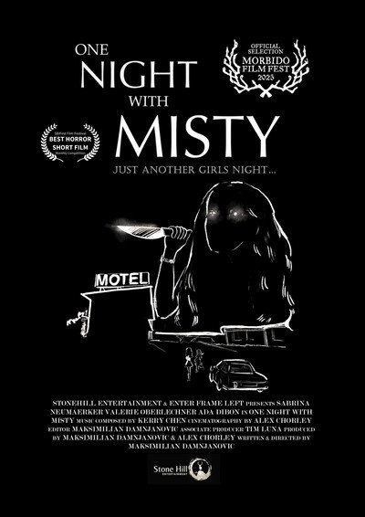 Póster de One Night with Misty